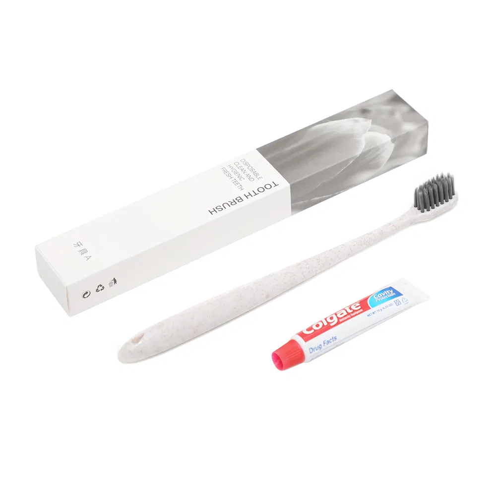 Professional Plastic Home and Hotel Toothbrush for Adult