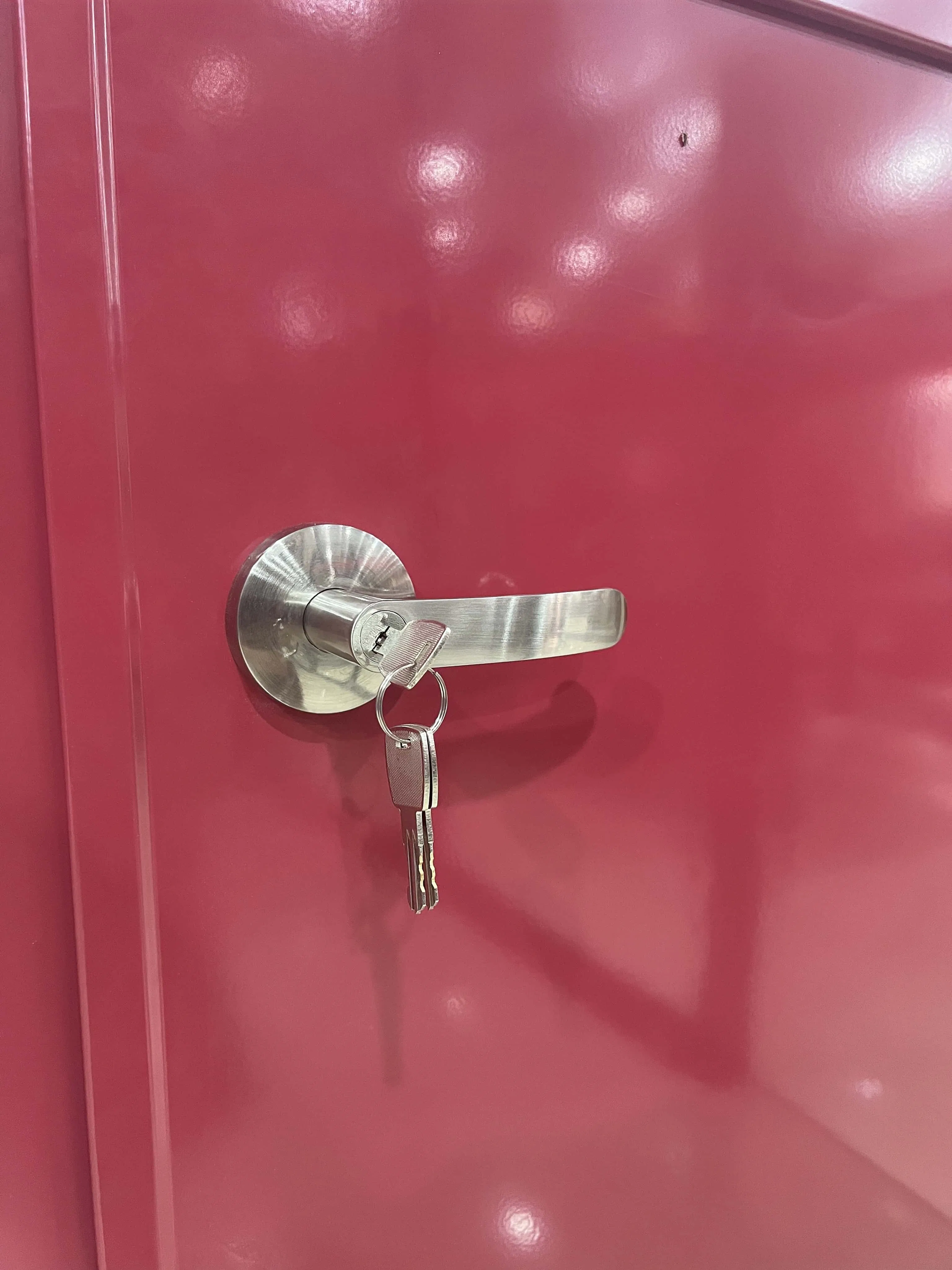 Heavy-Duty Insulated Steel Fire Exit Door for Enhanced Safety