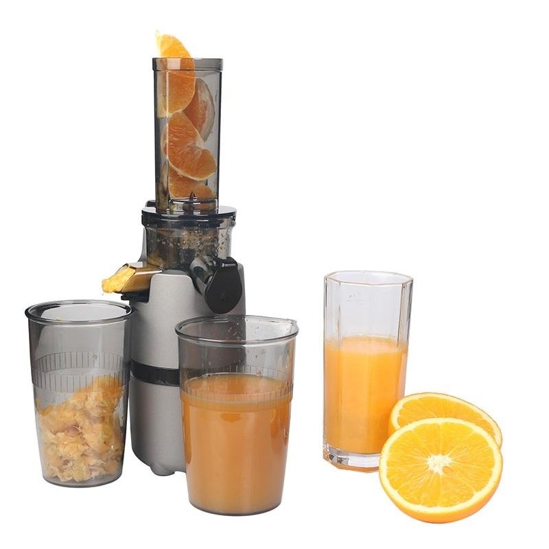 Slow Juicer Fruit and Vegetable Juicer
