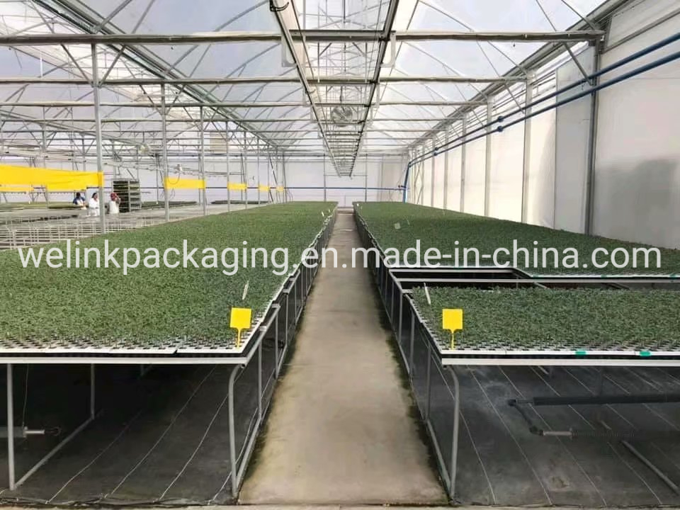 SGS Brc Certified Manufacturer Garden Farm Hydroponic UV Blocked Ground Cover Agrotextiles PP Woven Fabric Weed Control Fabric Weed Stop Fabric Weedmat