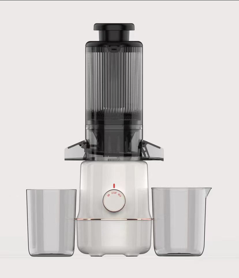 Professional Electric Automatic Slow Masticating Mango Orange Fruit Juicer Machine Juice Extractor