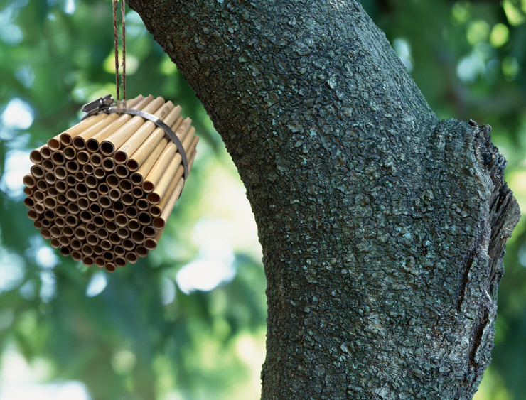 Outdoor Mason Bee House Hotel Nest Box Solitary Bee Hive Reed Mason Bee Refill Tubes