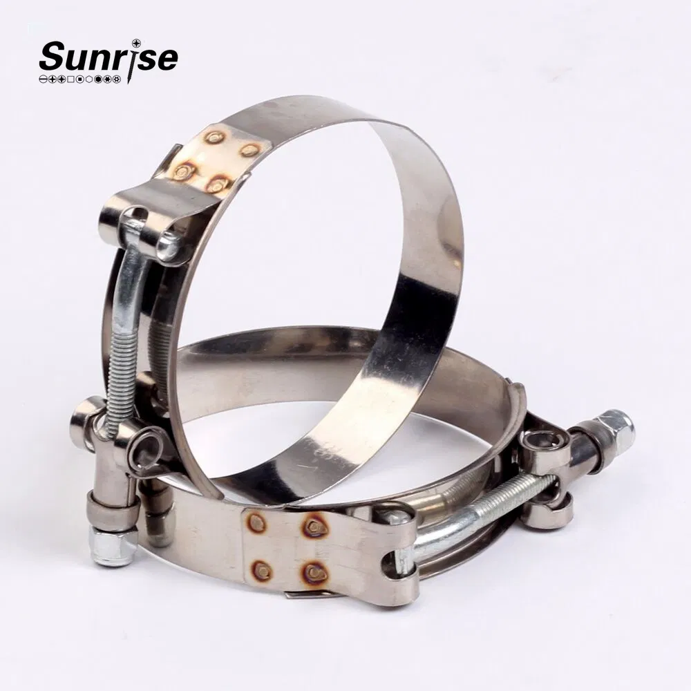 Low Price Nickel Plating Stainless Steel 304 Metal Clamp Pipe Clip Screws for Hose Clamps on Sale