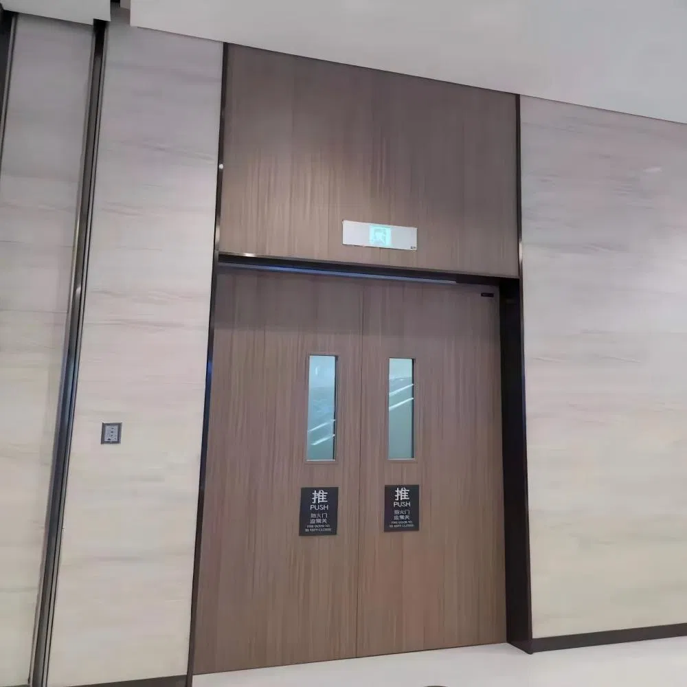 China Manufacturer Security Fire Wood Fireproof Fire Resistant Fire Rated Exterior Interior Anti-Fire Single Double Steel Wooden Door