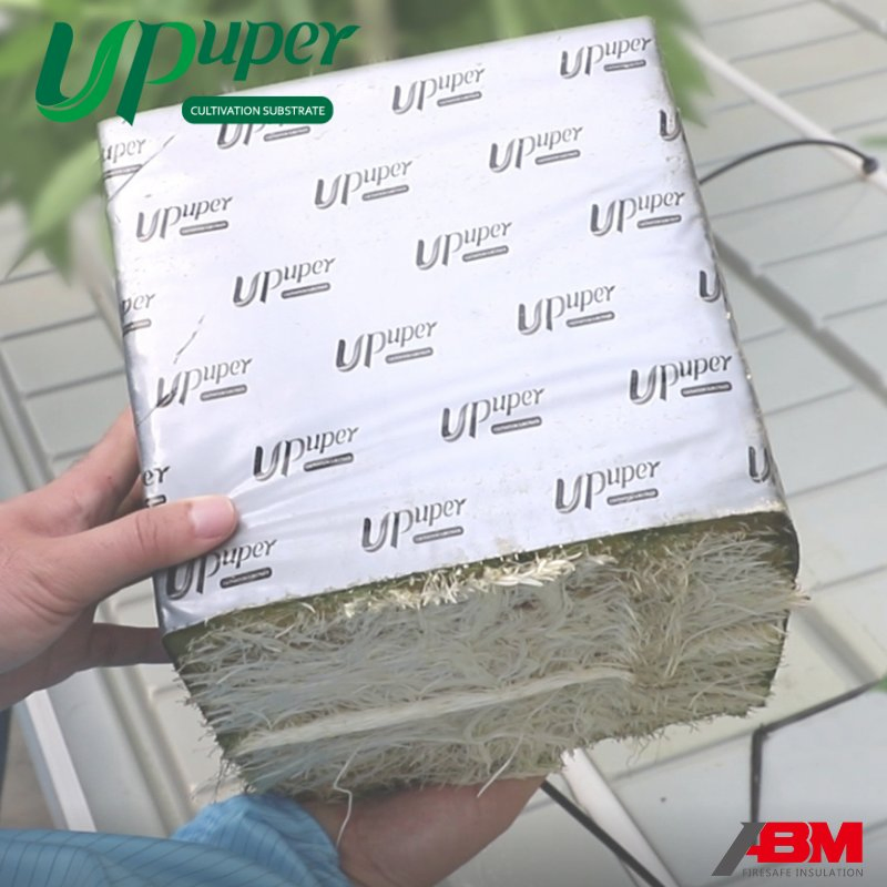 UPuper Rock Wool Growing Media Cube 6X6X6 Inch Growing Substrate Blocks Indoor Planting/Hydroponic/ Rock Wool Growing Medium Cubes for Tomato/Cucumber/Cannabi