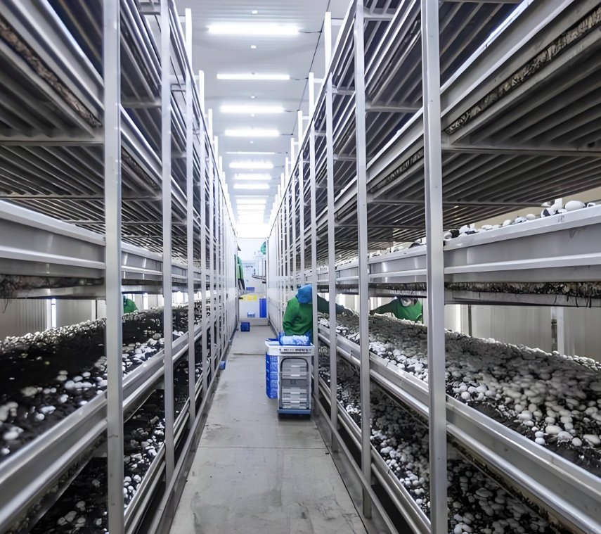 Breeding Capsule Container Intelligent Automatic Mushroom Intelligent Breeding Capsule