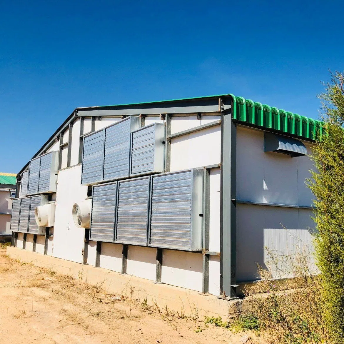 Customized Standard Package Prefabricated Poultry Farm Chicken House