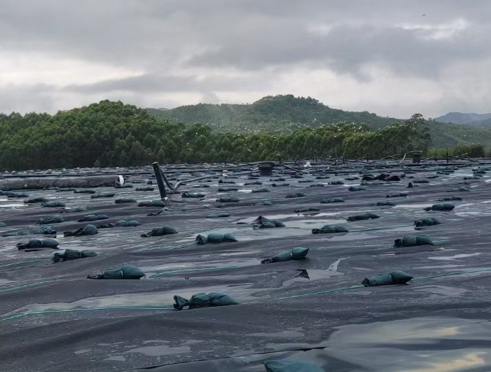 Lightweight HDPE Pond Liner Geomembrane for Easy Installation