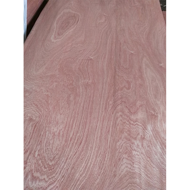 Plb Gurjan/ Keruing Face Veneer Rotary Cut Veneer