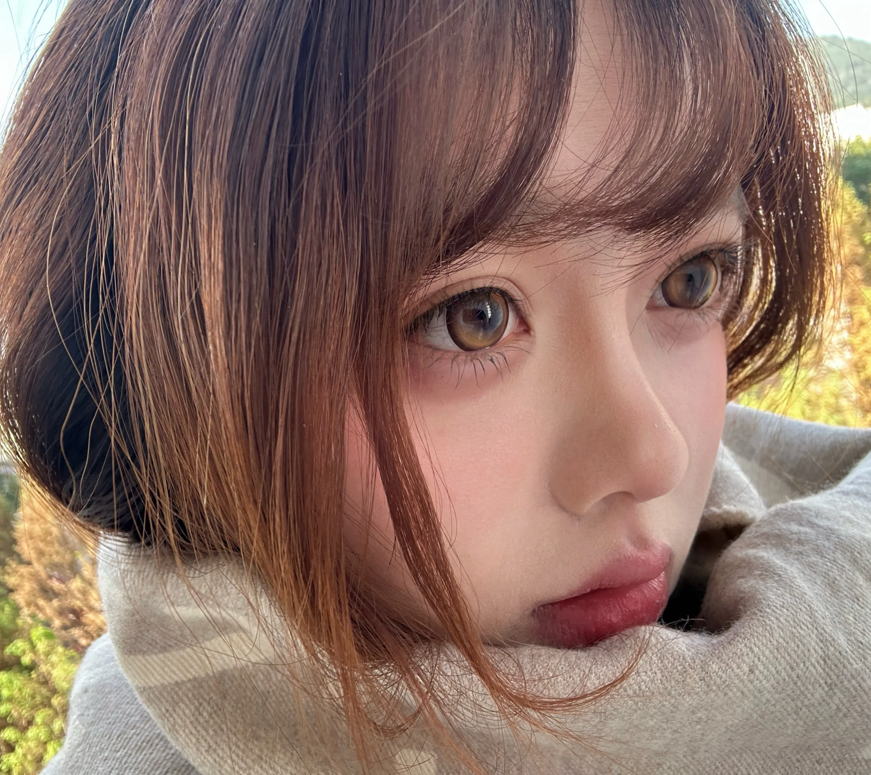 Hema Contact Lens - One Piece Safely Packaged in PP Blister