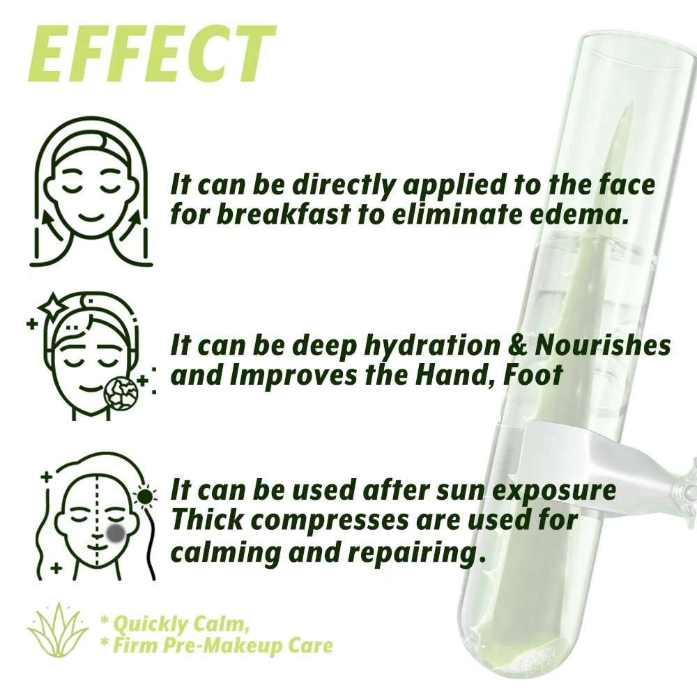 OEM ODM Pure Natural Organic Aloe Vera Hair Gel Moisturizing Aloe Vera Face Gel