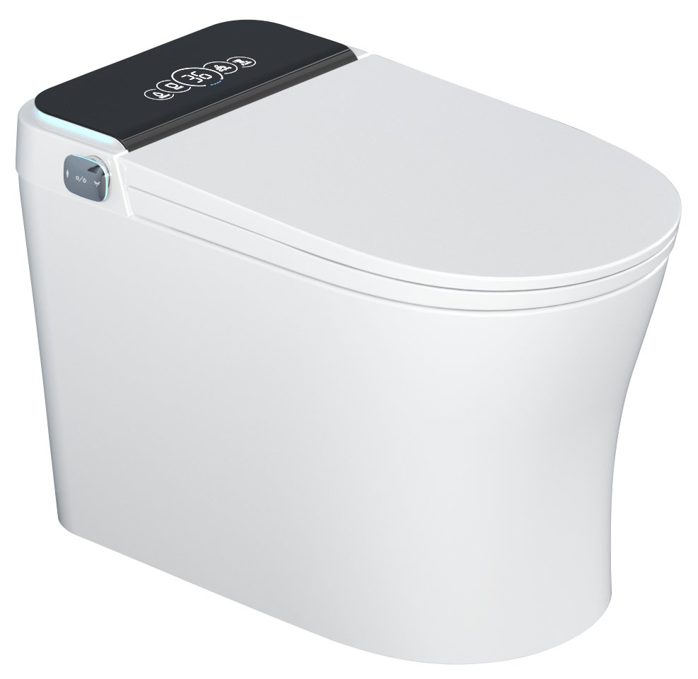 Simple and Popular Fashionable Intelligent Toilet