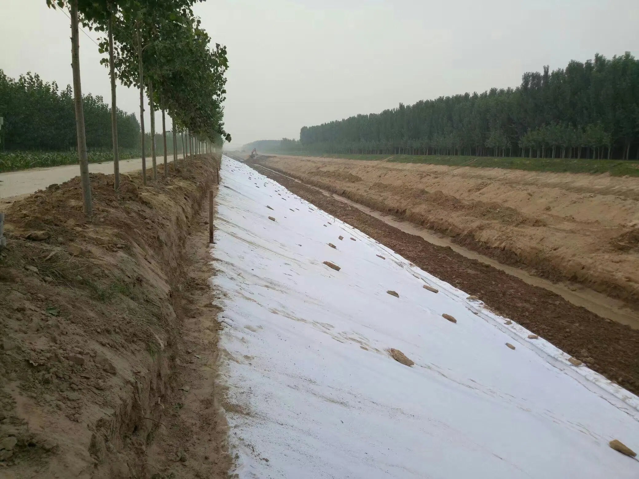 150g 200g 300g 400g 500g 800g 1000g Reinforced PP/Pet Polyester Woven/Nonwoven Geotextile Price for Road Construction Factory Price China