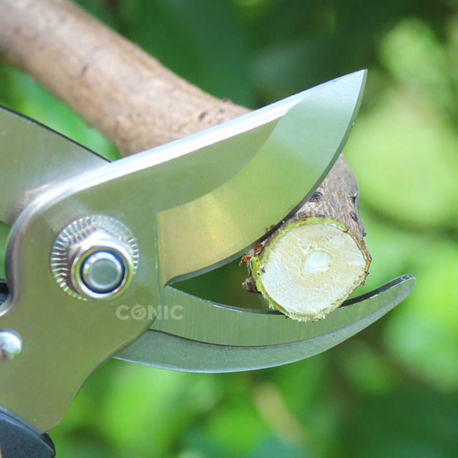 Professional Garden Scissors Grafting Tool Tree Pruning Shears Garden Shears Secateurs