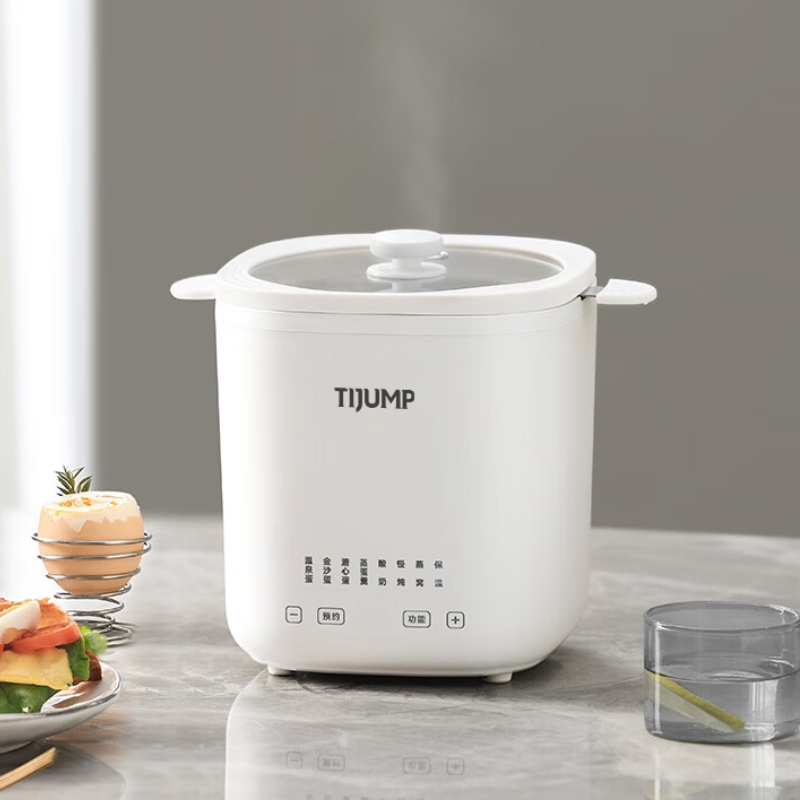 Intelligent Temperature Control Egg Steamer and Boiler for Home Use