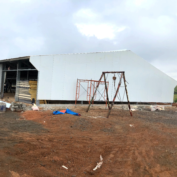 Industrial Steel Structure Design Poultry Farm Shed Poultry Farm Poultry House