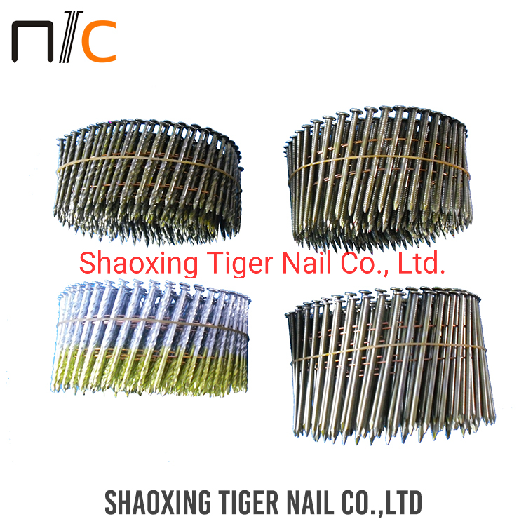 Coil Nail2.5 (6.2) for Stapler