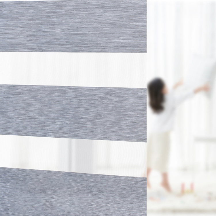 Motorized Zebra Blinds for Living Room