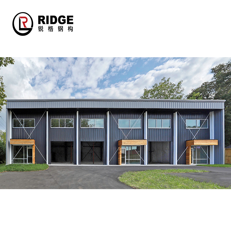 Anti-Rust Painting China Low Cost Waterproof Factory Workshop Steel Building Structure