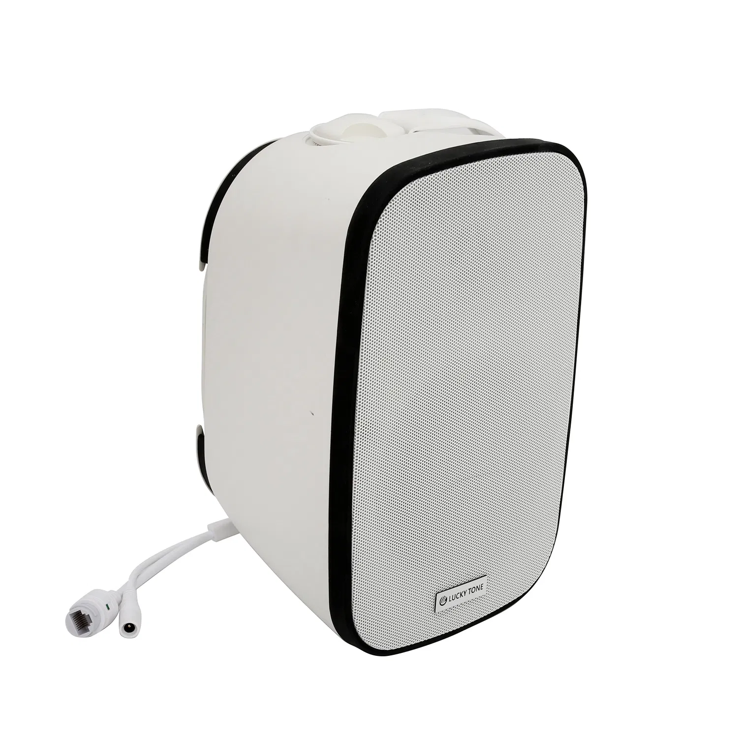 40W IP66 Poe Dante Wall Mount Speaker for Indoor and Outdoor Commercial Audio Applications