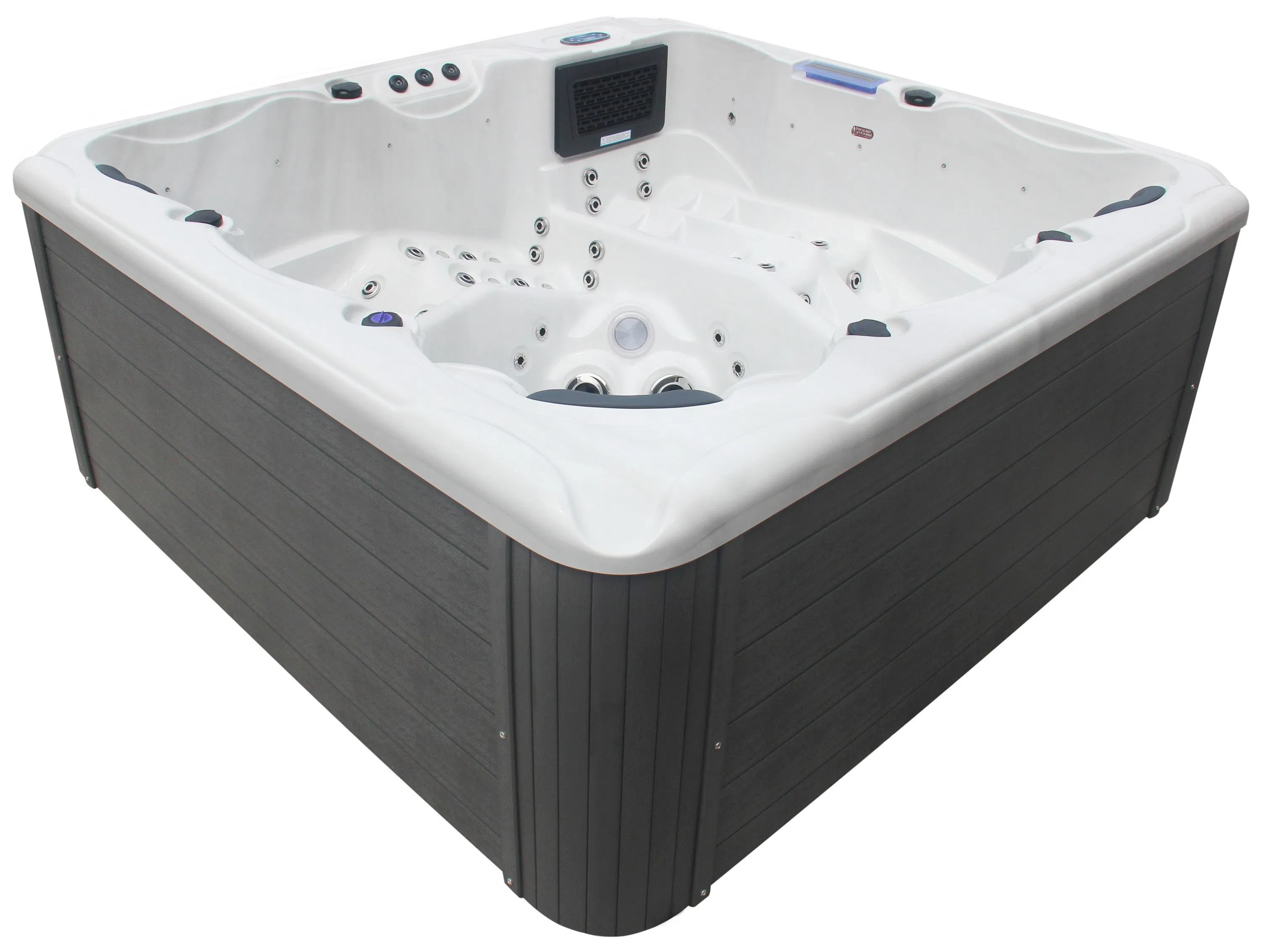 USA Balboa Control Acrylic Play and Plug SPA Hot Tub Whirlpool Bathtub