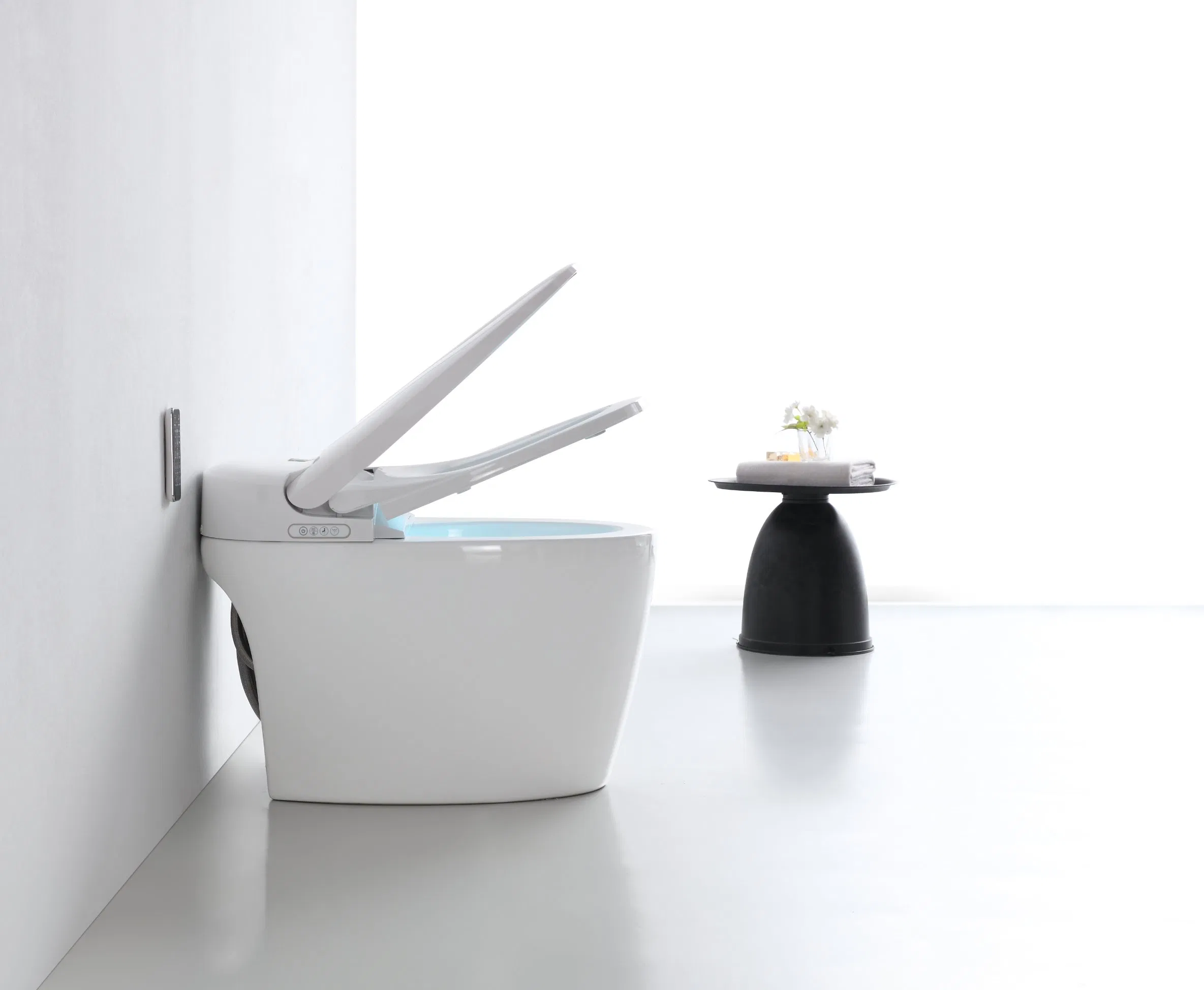 Smart Toilet with Remote Control