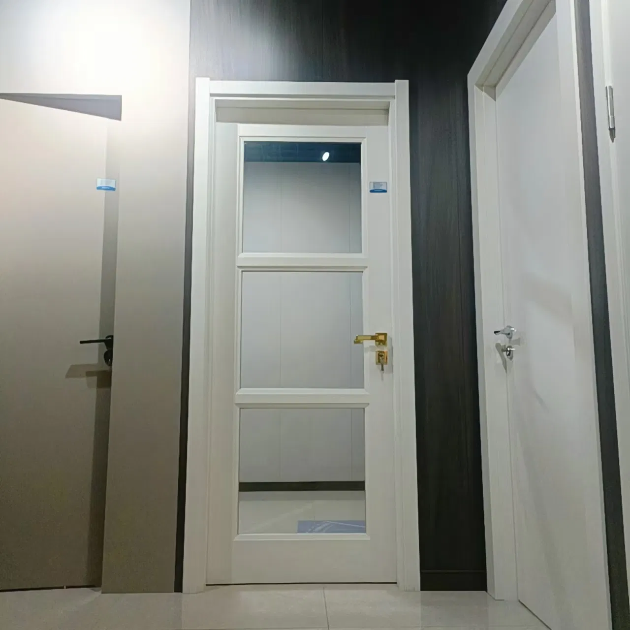 Elegant WPC Waterproof Interior Glass Painted Door B1-Level Flame Retardant Ecofriendly for Interior Renovation