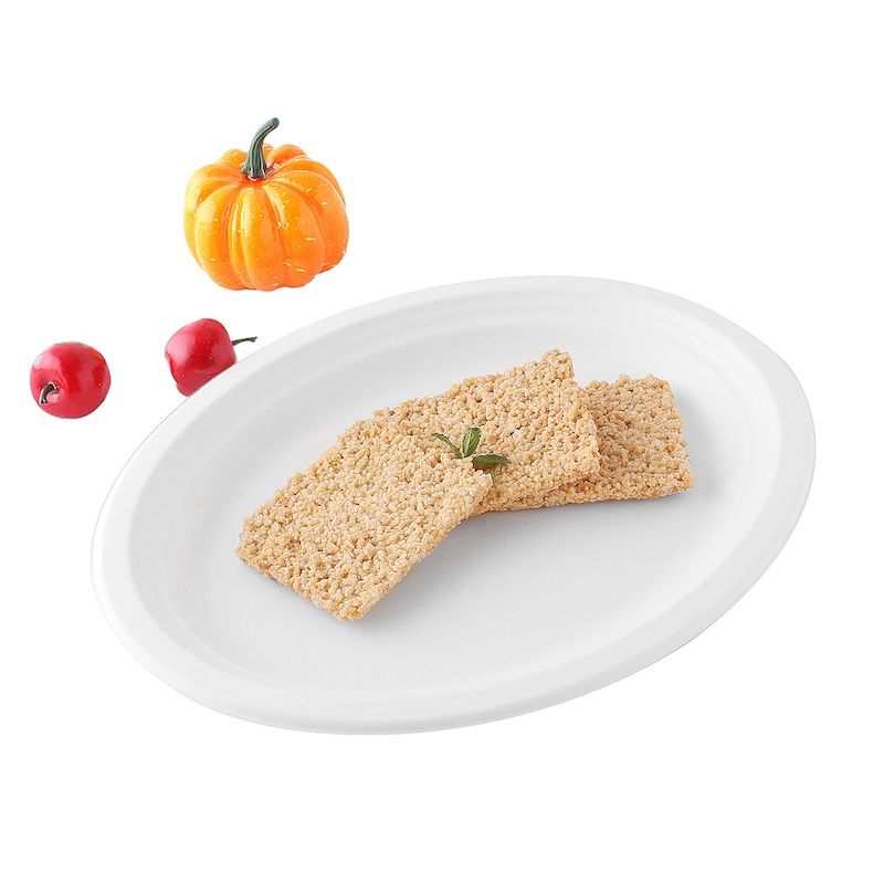 Eco Friendly Paper Pulp Biodegradable Disposable Kids Lunch Sugar Cane 10" 3-Compartment Bagasse Plate
