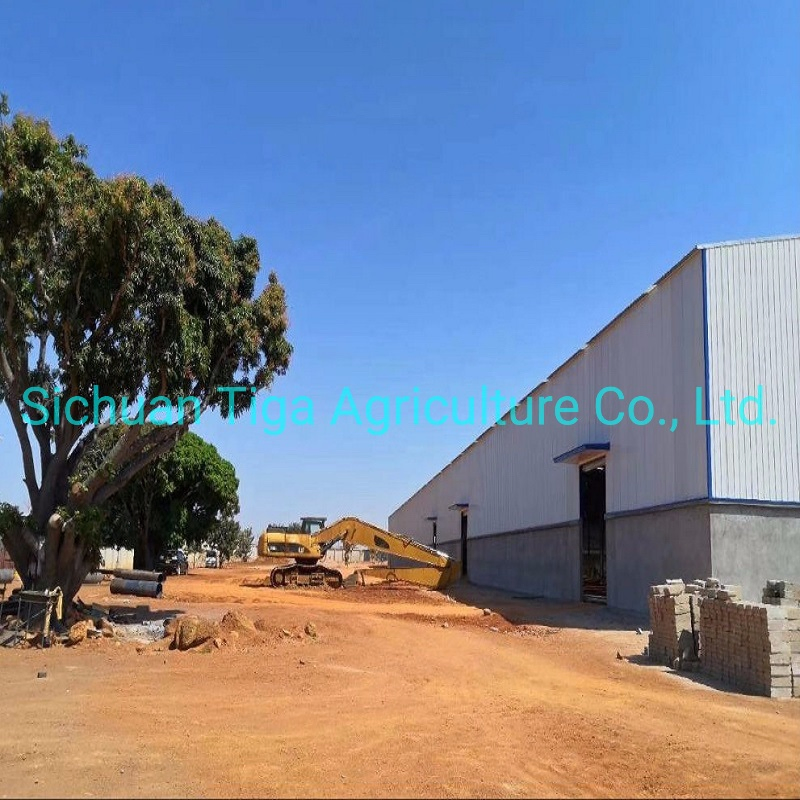 High Quality Prefabricated Steel Structure Industrial Warehouse/Workshop for Sale