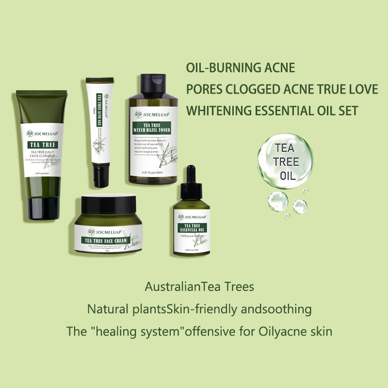 Wholesale Private Label Tea Tree Clean Oil Control Moisturizing Set for Face