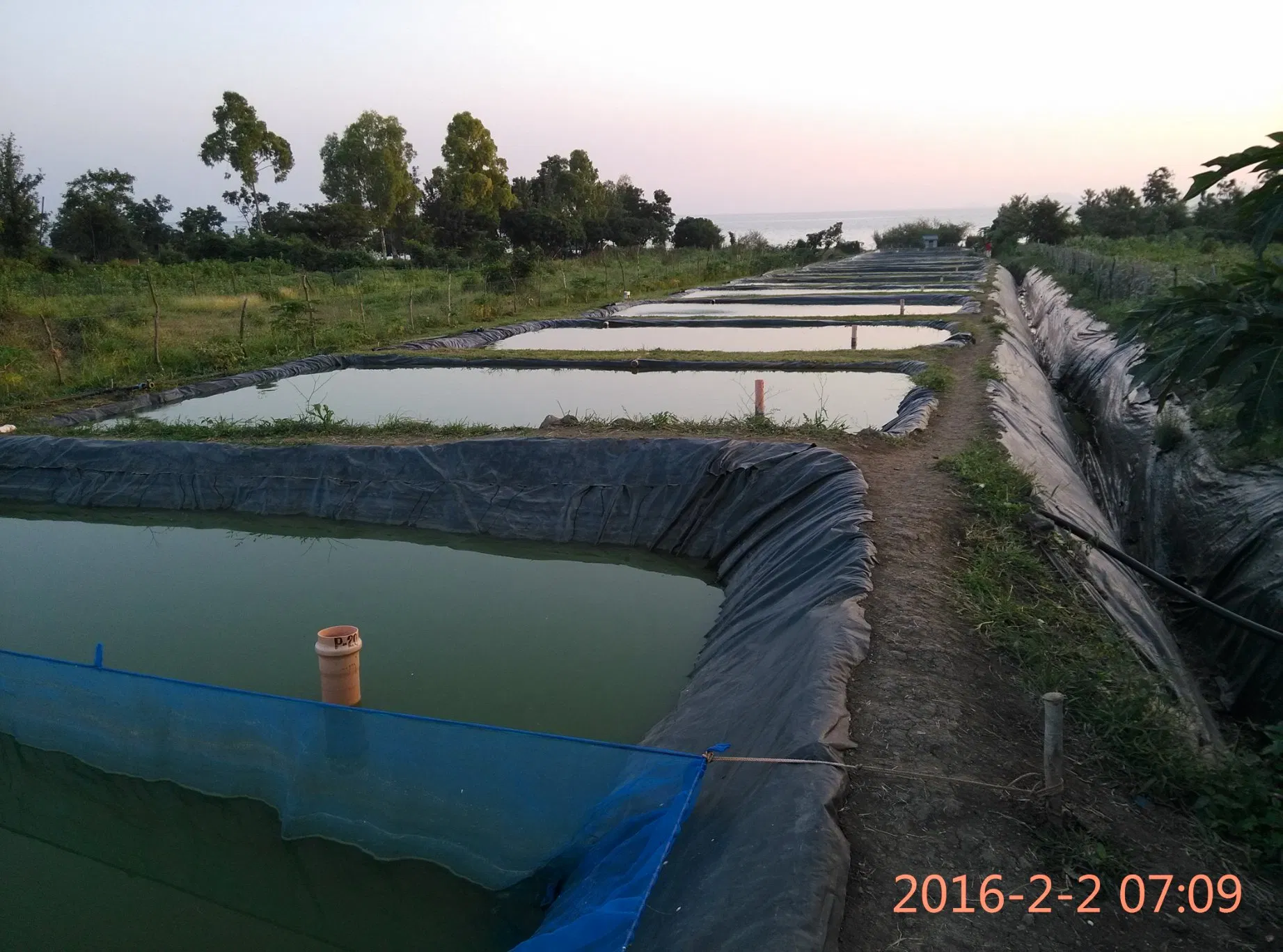 HDPE Geomembrane Pond Liner for Fish Farm