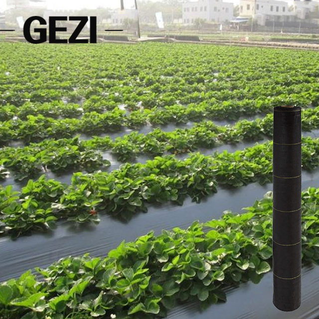 Woven 100GSM Black Weed Mat to Stop Grass Growing