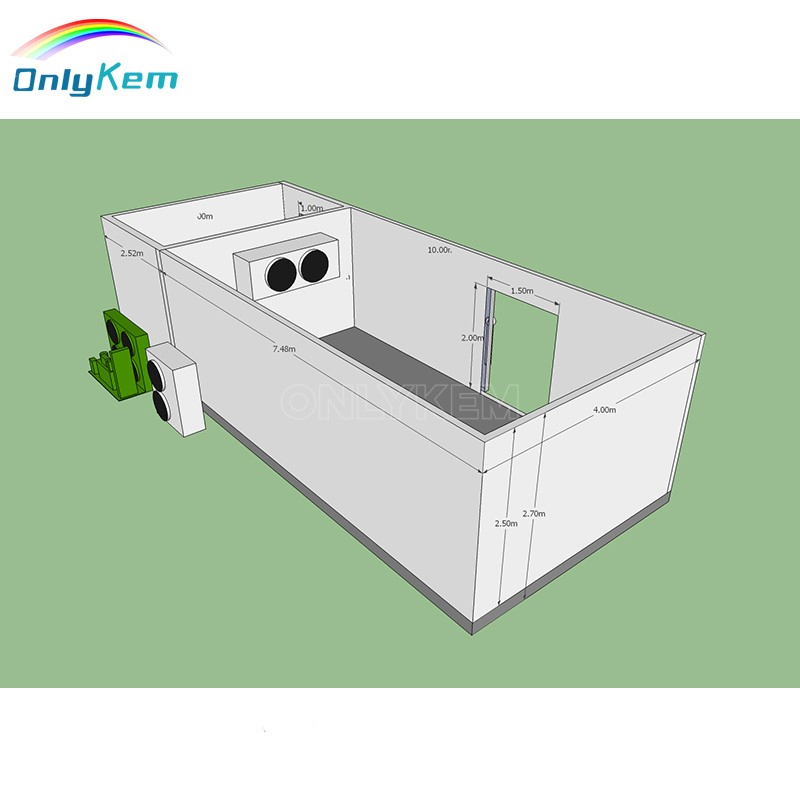 Cold Room Panel Cold Chamber Walk in Freezer for Meat