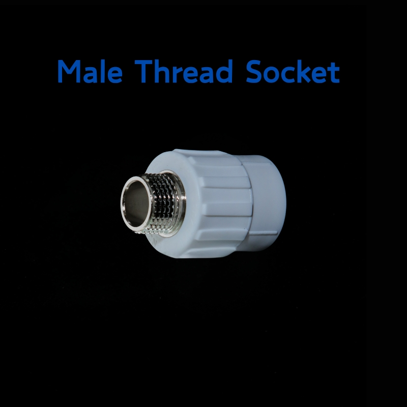Wholesales PPR Male Thread Socket of PPR Pipe Fittings 20*1/2'