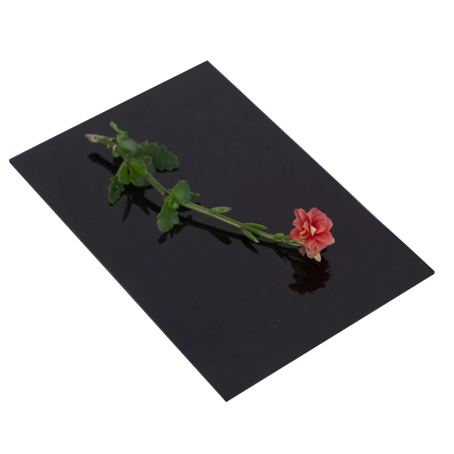 Black Red White Back Painted Glass Lacquered Glass for Wall Furniture