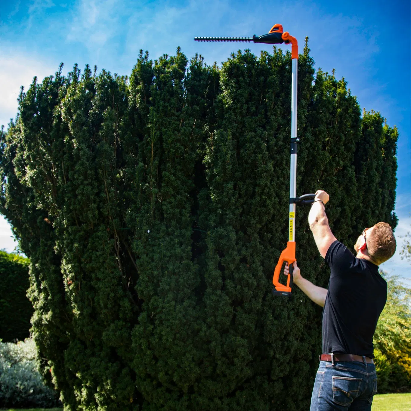 Multi-Angle Pivot Blade Vertical Tree Long Reach Hedge Trimmer-Lh C41A