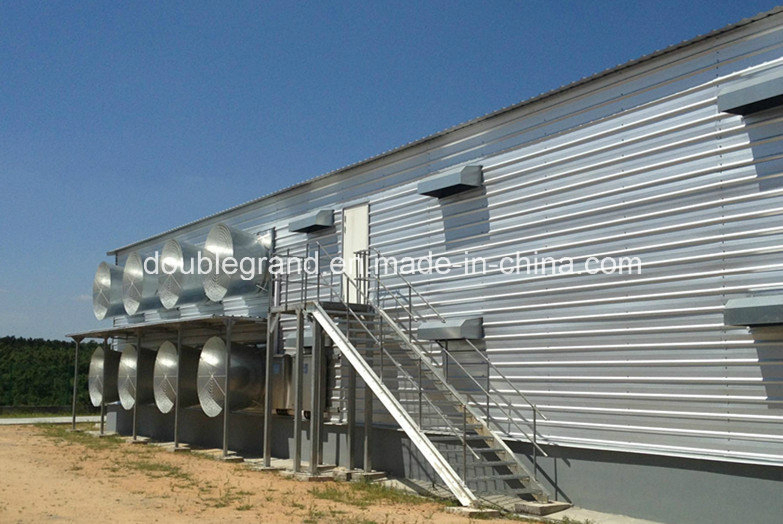 Prefab Steel Structure Poultry House, Chicken House, Farm Building