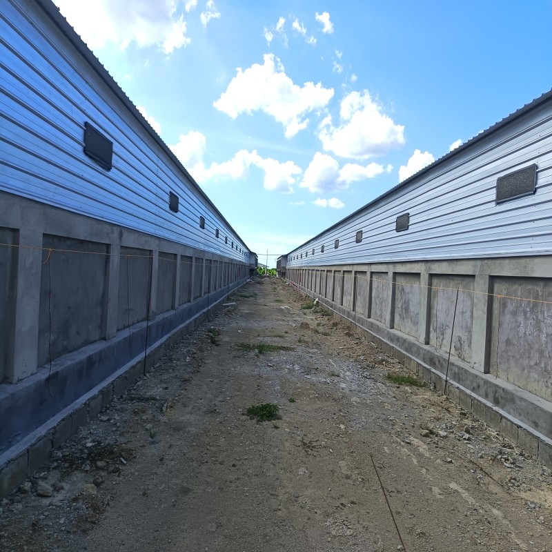 High Strength Steel Structure for Poultry House with Fast Installation and Long Life Broiler Flat Rearing/ Layer Cage/Hens of The Farms Livestock Equipment