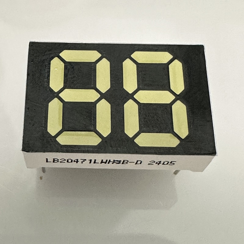 7 Segment LED Display 2 Digit 12mm White for Water Heater