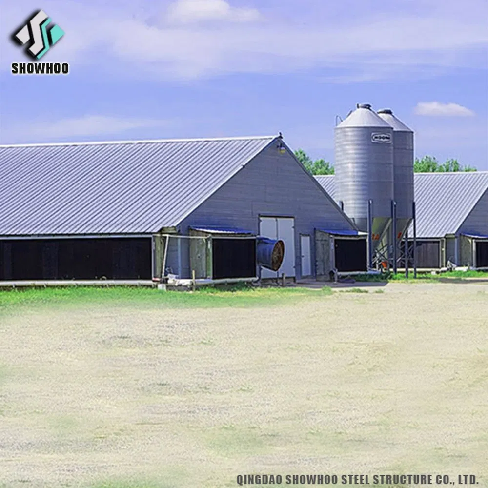 Chicken House Poultry Farming Broiler House Wall Seat Cheap Price Design Kenya