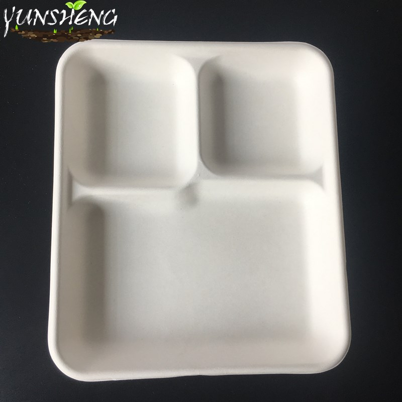 Disposable Biodegradable Food Paper Trays, Five Compartments