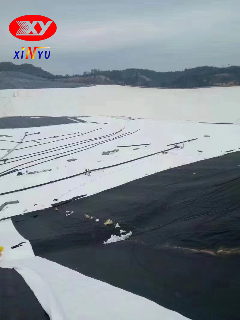 HDPE Liner Geomembrane for Fish Farming Tank Shrimp Circular Pools