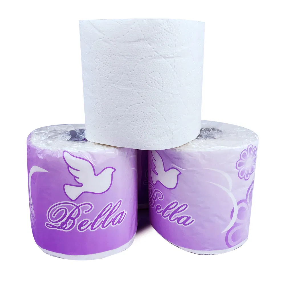 Manufacturer and Supplier in China Wholesales Best Fast Dissolve Toilet Paper Tissue