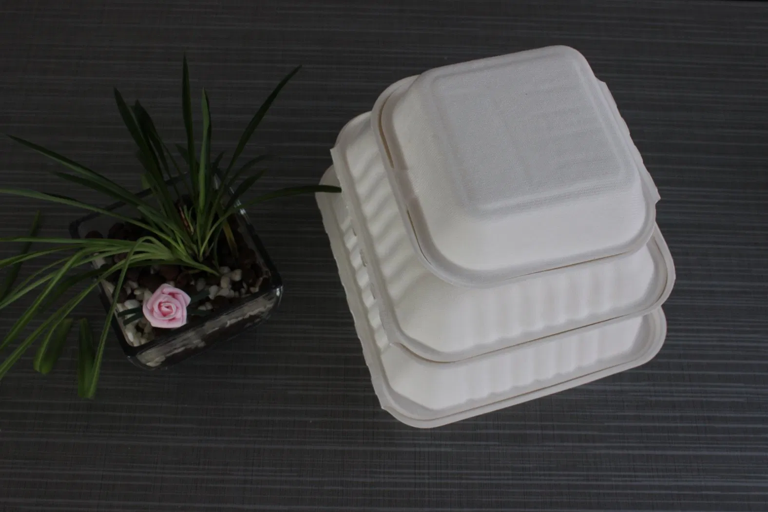 Customized 100% Compostable 8*8 Inch Clamshell Bagasse Box Disposable Biodegradable Clamshell Food Container