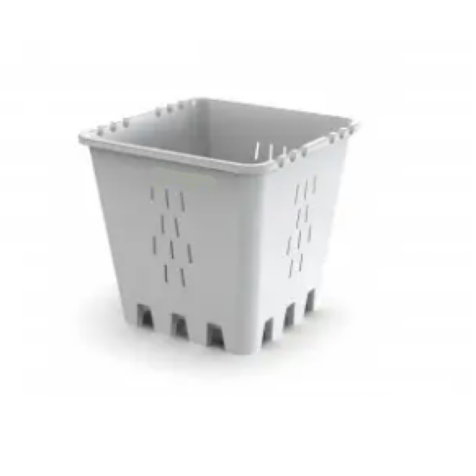 Indoor Living Room Decorative Non-Toxic Small-Size Plastic Blueberry Planting Pot