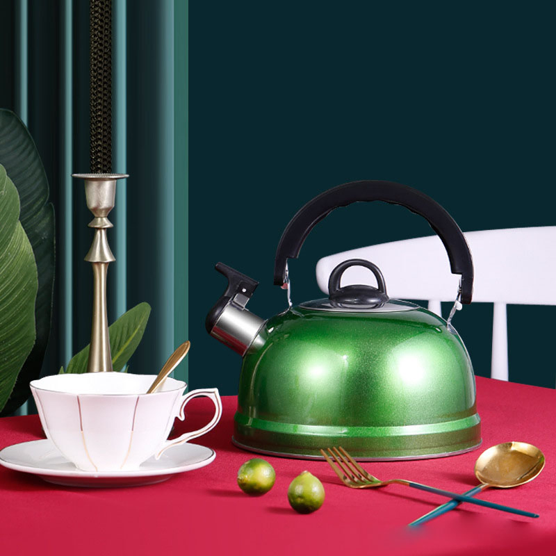 Чайник стальной 3л с индукционным дном