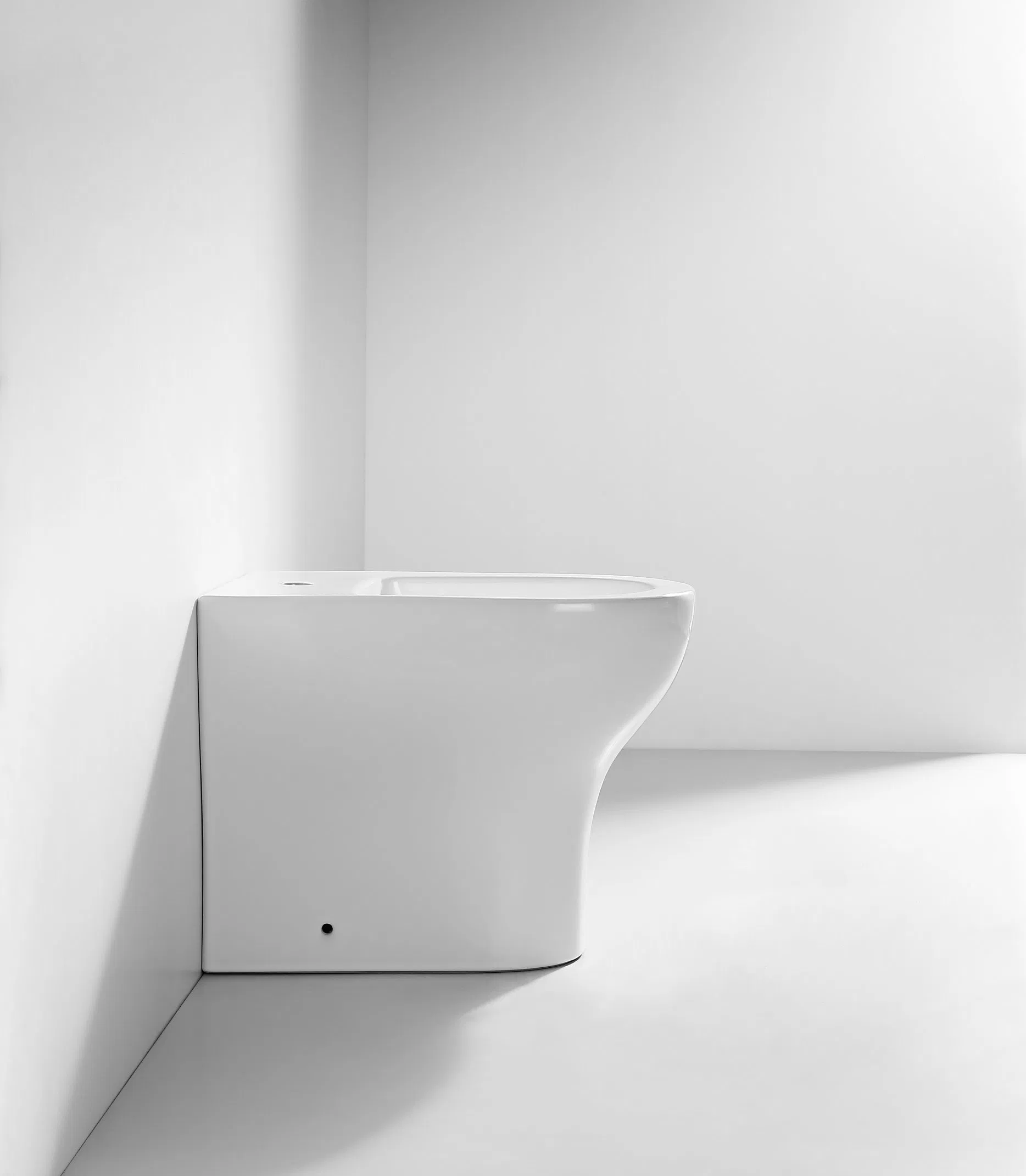 Bathroom Toilet Ceramic Floor Mounted Bidets Lady Care One Piece Special Care Bidet