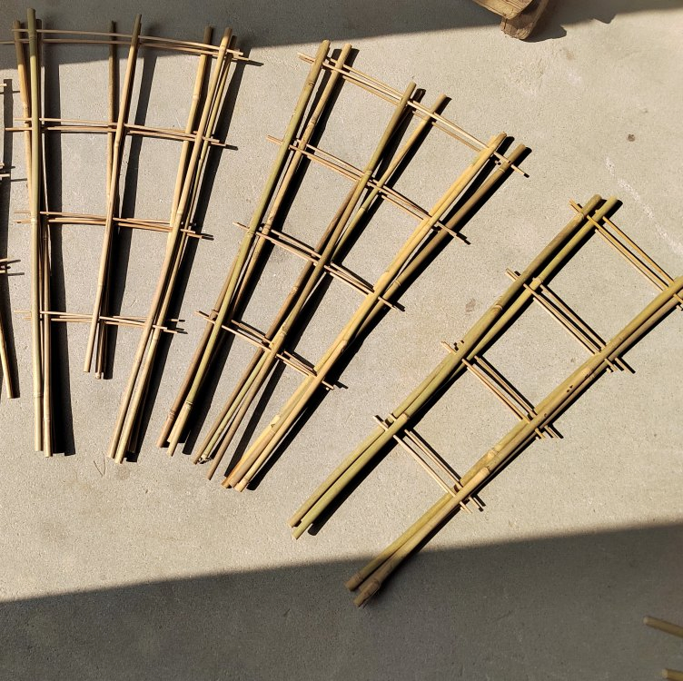 Bamboo Plant Fan Trellis H85cm