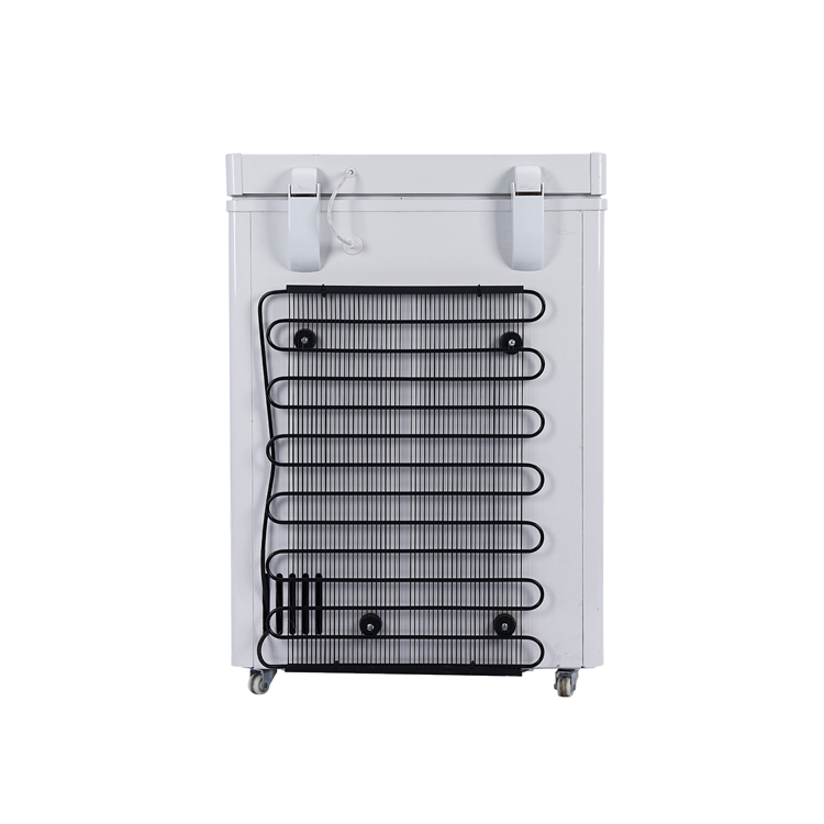 DC 12V24V 110mm Thickness Foaming Chest Freezer Super Energy Saving Model