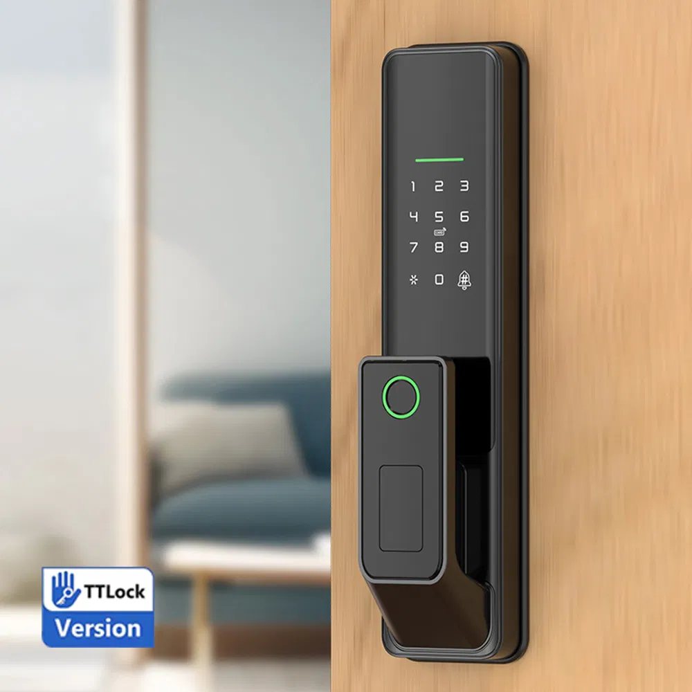 Premium Quality G1 Smart Push Pull Fingerprint Lock Electronic Biometric Digital Door Lock for Home